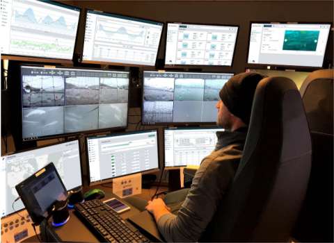 Smart Technology in Cage Farming: Monitoring, Feeding, and Optimization 